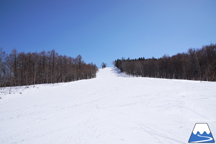 小樽天狗山ロープウェイスキー場 積雪たっぷり！絶景春スキー☆